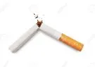 Quit smoking. Broken cigarette isolated on white background