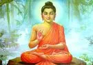 Gautam-Buddha-810