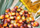 palm_oil